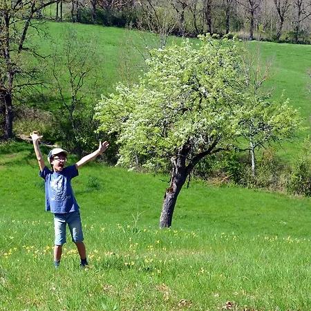 Au D'aodren Verfeil-sur-Seye